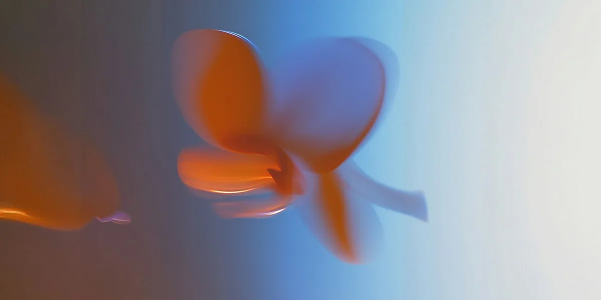 Service Detail Image